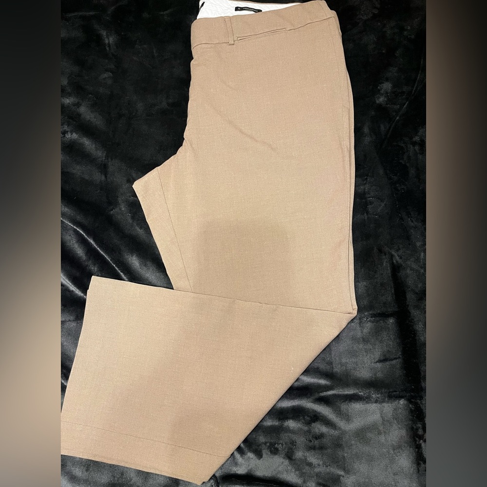 Size 22 Loft Plus Khaki Trousers
